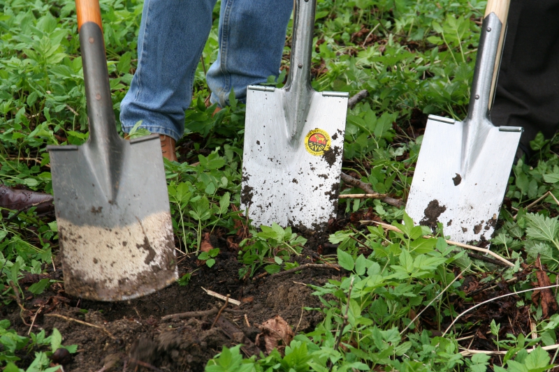 pepiniere-TOURETTE DU CHATEAU-min_work-lawn-flower-tool-green-backyard-1103633-pxhere.com